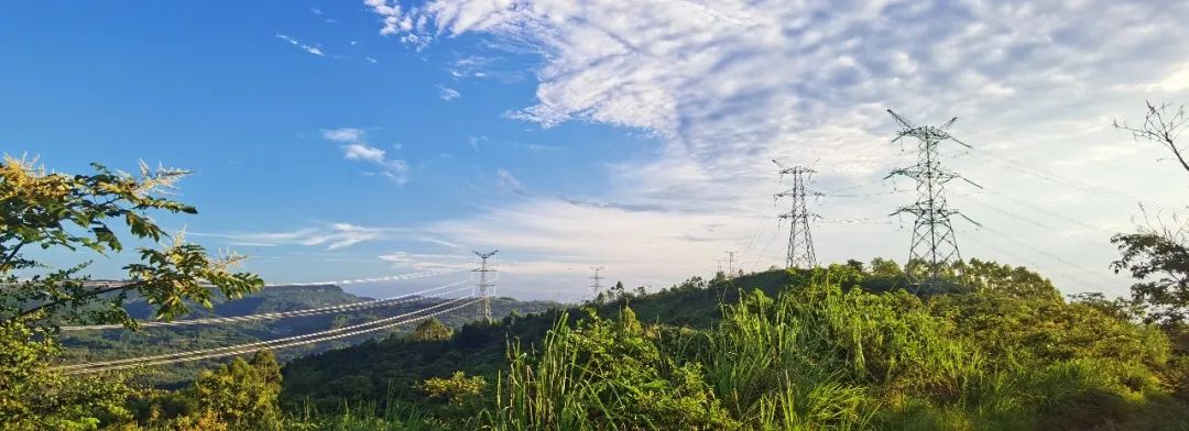 7790必发集团电力集团向导节日假期分赴项目一线指导事情